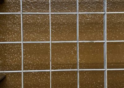 Real time grease trap waste consolidation