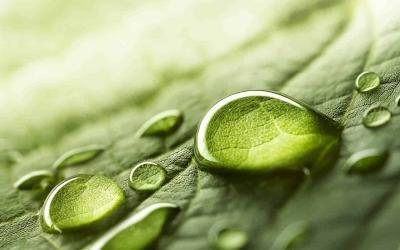 Sustainability Champion: Clearway Environmental