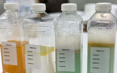 Tackling FOG waste on the Isle of Wight